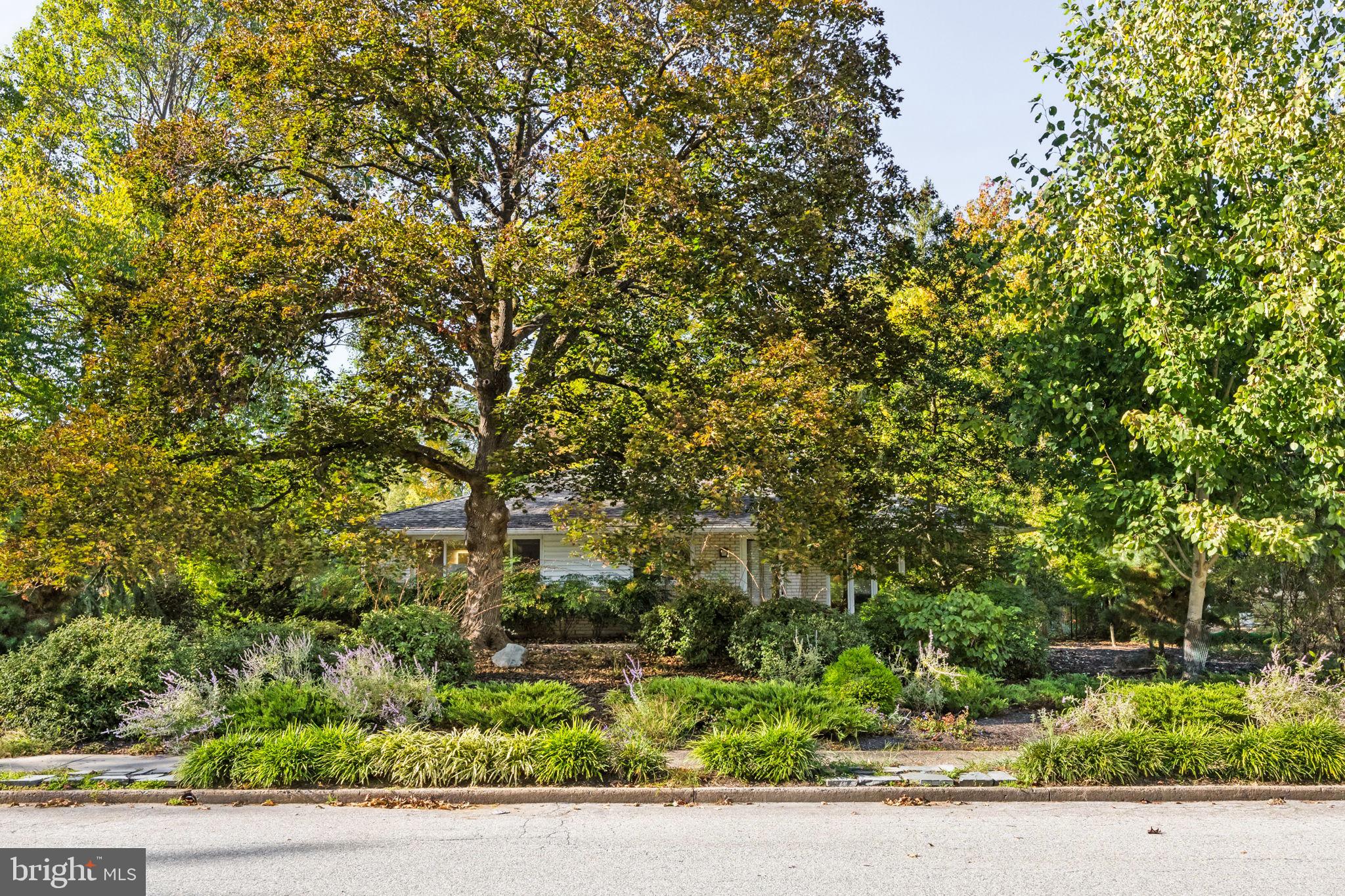303 Glenway Road Glenside, PA 19038 - Photo 56 of 56 front view of a house with a tree