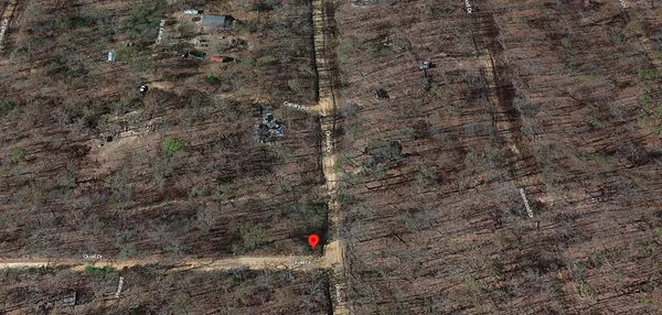 a close up of a plant