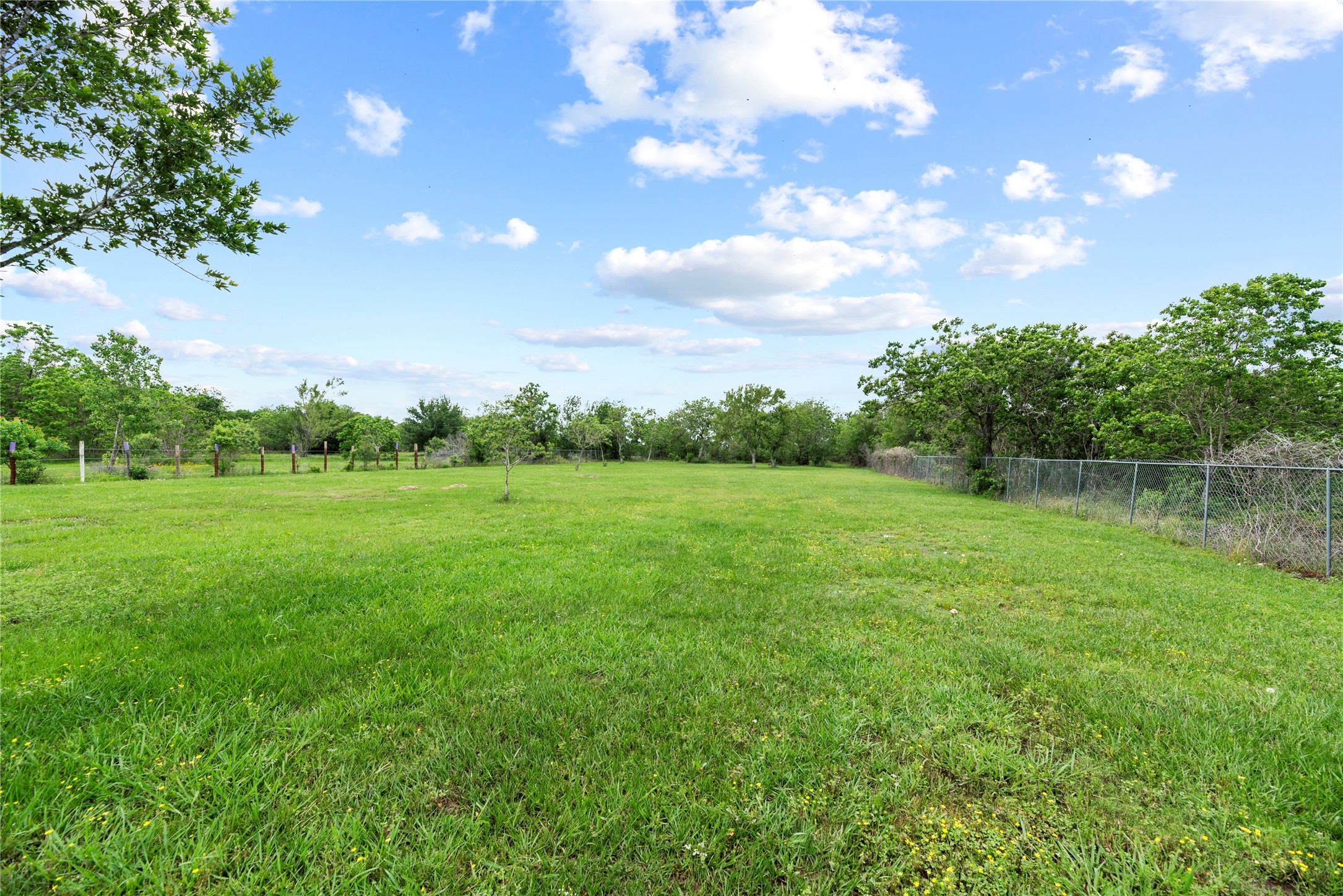 523 Moore Bar Road Rosenberg, TX 77471 - Photo 14 of 50 Another view of the backyard.
