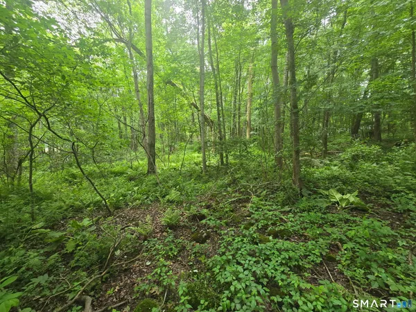 $19,900 | Boston Road, Andover, CT 06232