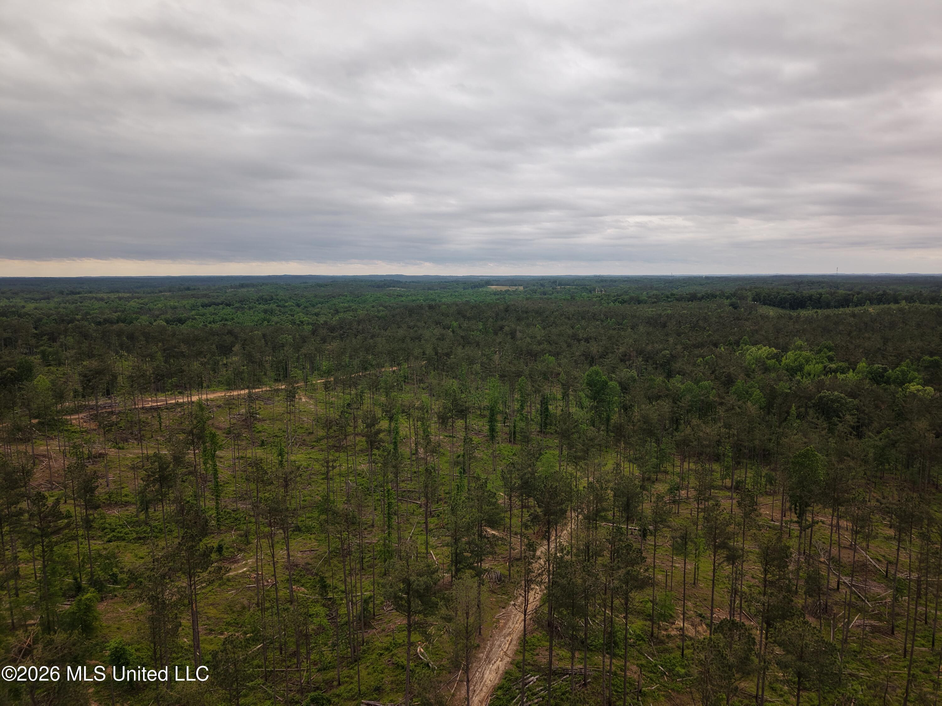 Graysport Crossing Road Gore Springs, MS 38929 - Photo 11 of 16 dji_fly_20260505_112454_0194_17797570159