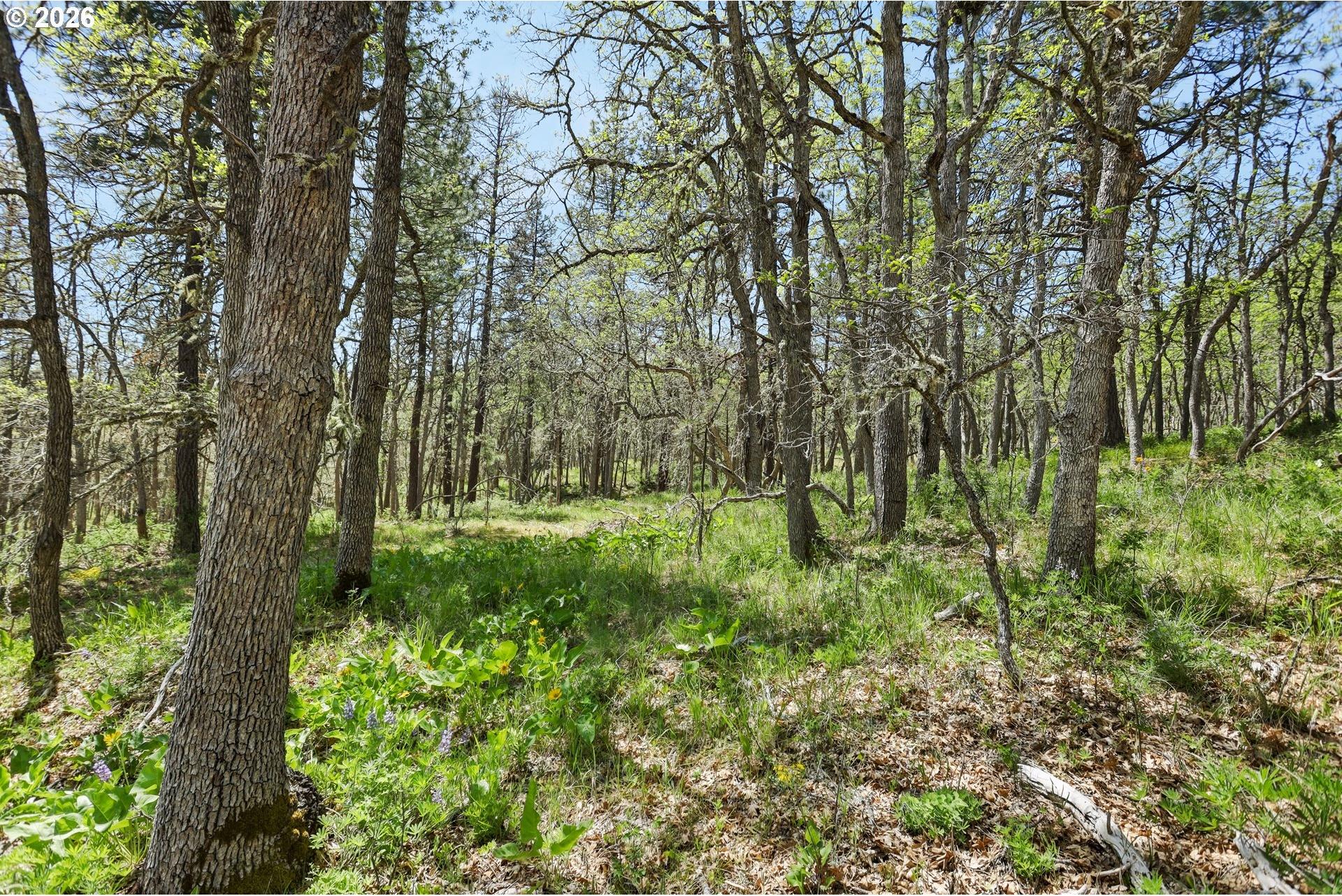 0 Thompson Trail Goldendale, WA 98620 - Photo 16 of 40 Gallery Image 16