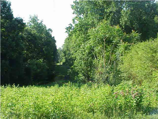 0 East Riverside Drive Bridgewater, VA 22812 - Photo 1 of 1 Gallery Image 1