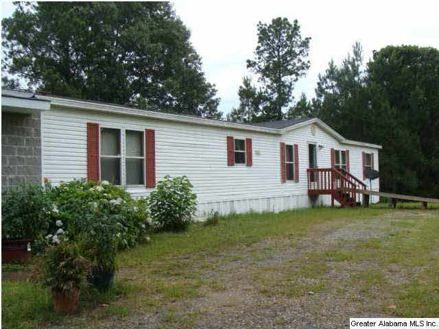 325 Big Springs Road Woodstock, AL 35188 - Photo 1 of 18
