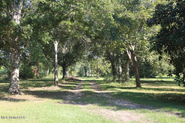24013 Placide Road Pass Christian, MS 39571 - Photo 15 of 15 IMG_3077