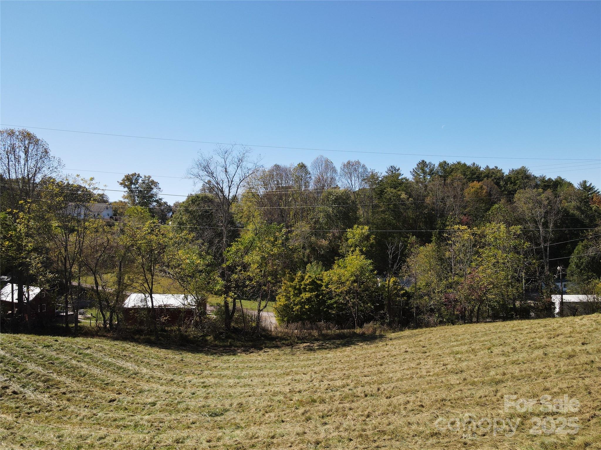 a view of a yard with a house in the background