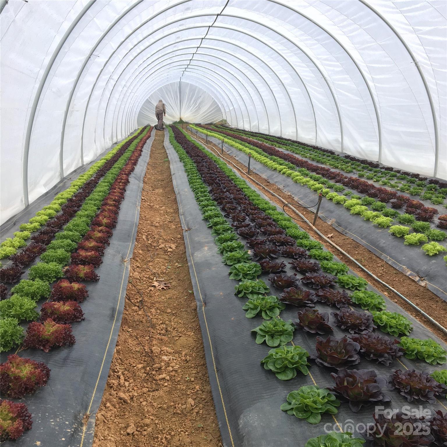 215 Old Macedonia Road Asheville, NC 28804 - Photo 21 of 32 a view of a pathway along a garden