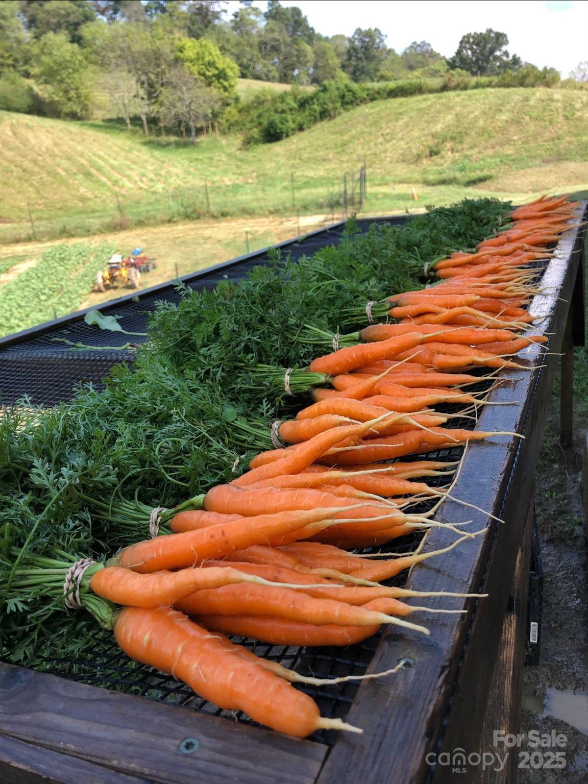 215 Old Macedonia Road Asheville, NC 28804 - Photo 22 of 32 a view of an ocean from a balcony