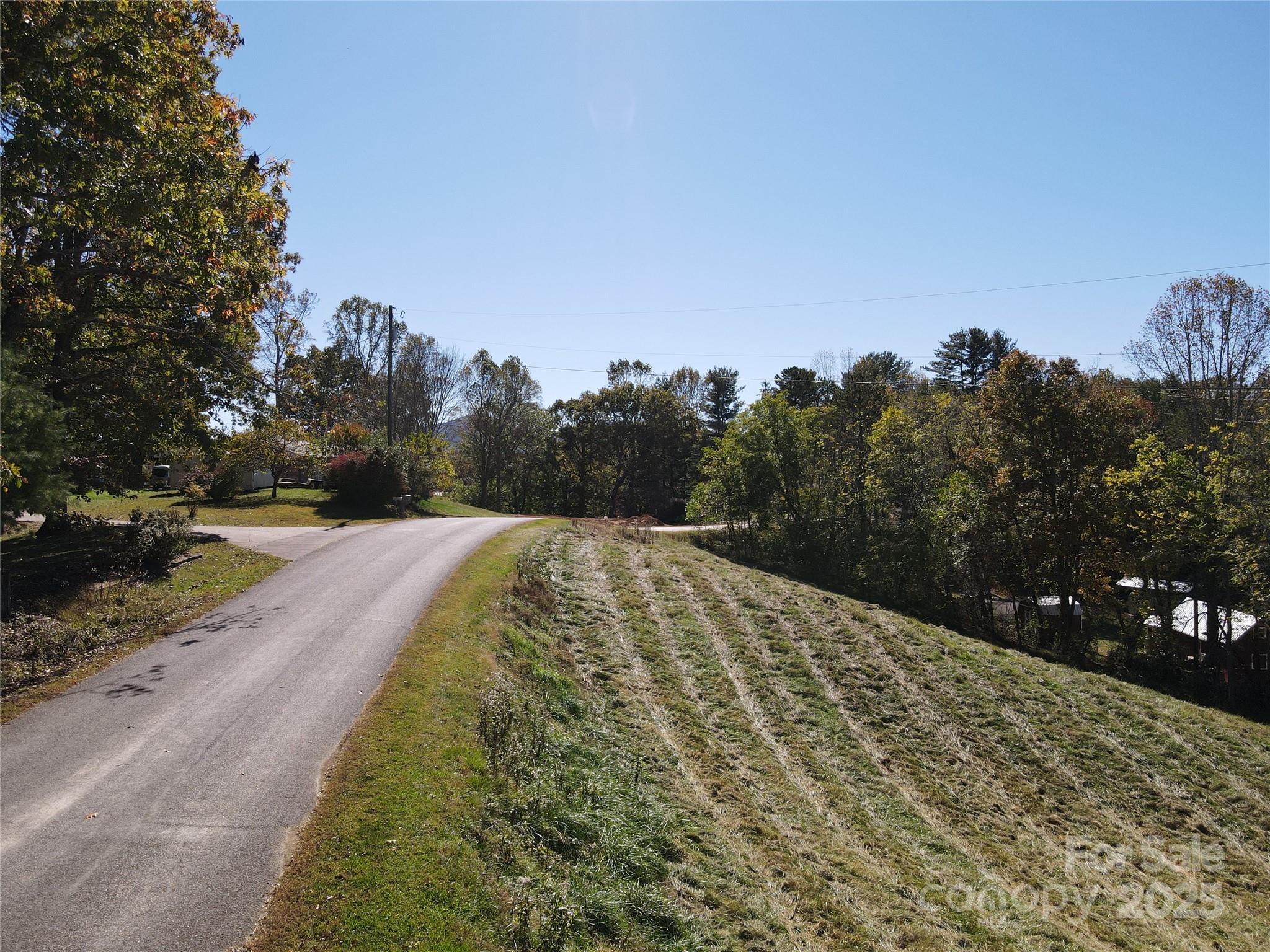 215 Old Macedonia Road Asheville, NC 28804 - Photo 6 of 32 a view of a backyard of the house
