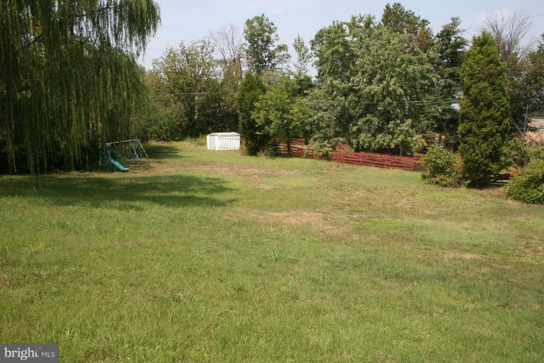 Back yard