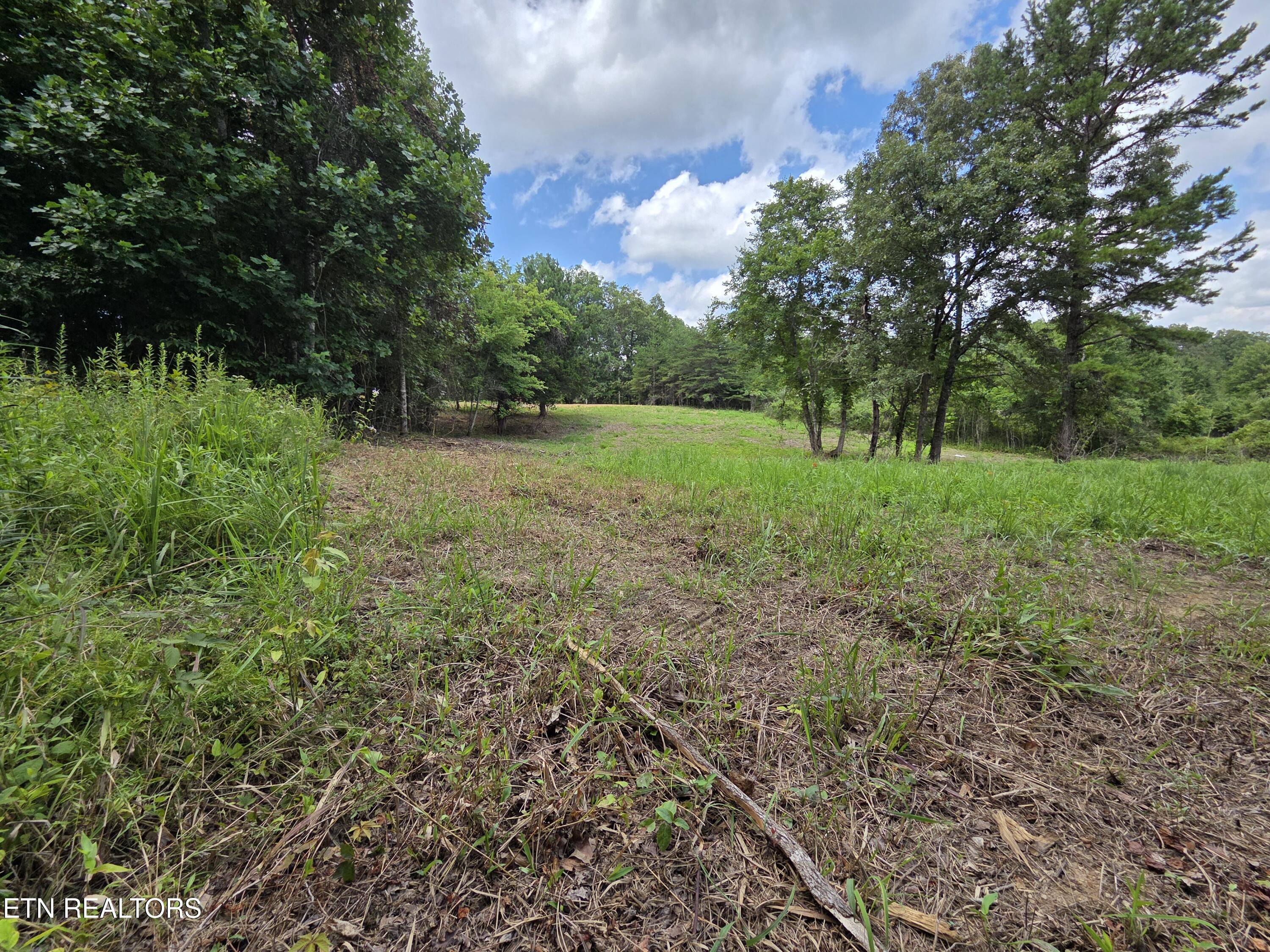 Sheep Ranch Rd Road Robbins, TN 37852 - Photo 7 of 26 20260723_150720