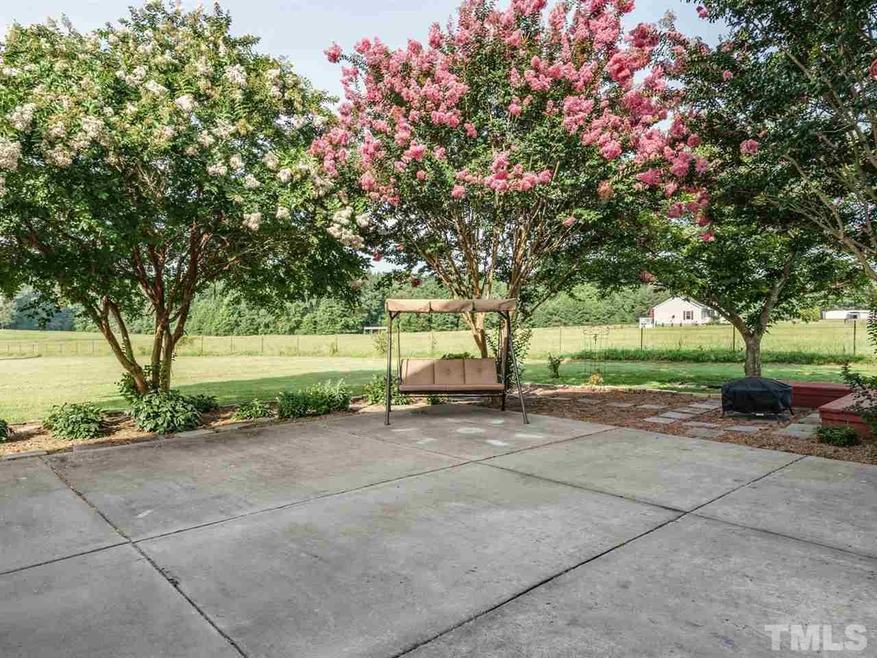 95 Rand Road Raleigh, NC 27603 - Photo 19 of 25 a view of backyard with green space and trees