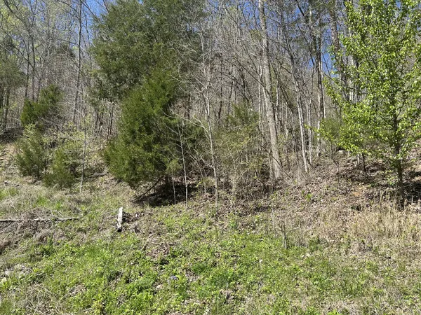 $90,000 | 1155 Hurricane Creek Road, Lynchburg, TN 37352