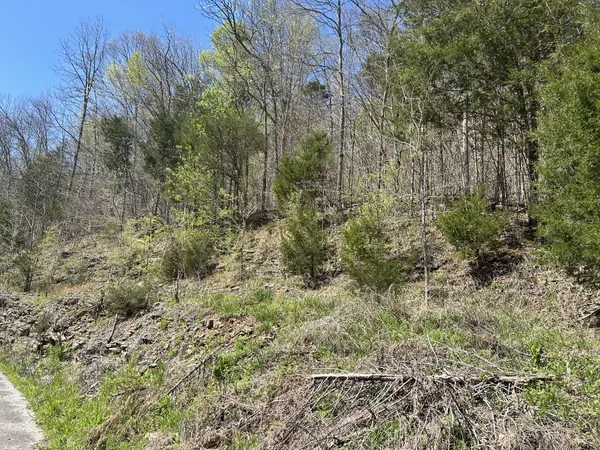 $90,000 | 1155 Hurricane Creek Road, Lynchburg, TN 37352