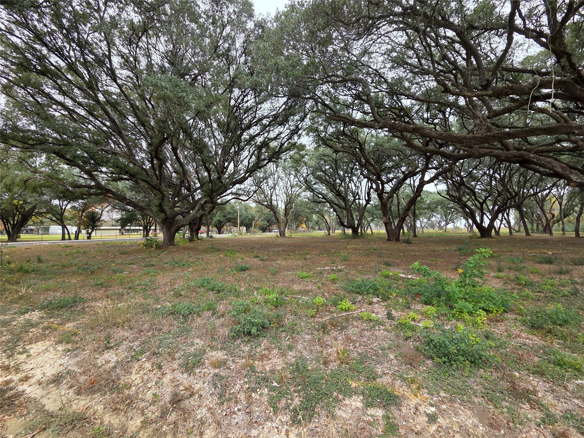 0 Runneburg Road Crosby, TX 77532 - Photo 19 of 39 a view of outdoor space with trees