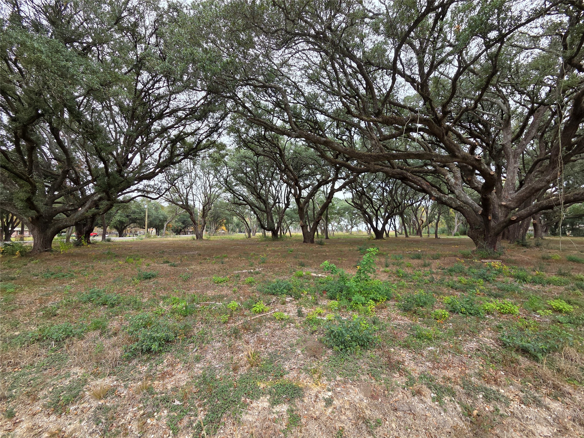 0 Runneburg Road Crosby, TX 77532 - Photo 20 of 39 a view of outdoor space with trees