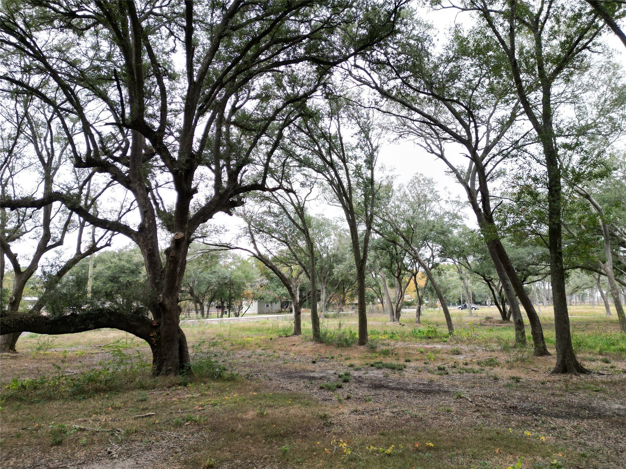 0 Runneburg Road Crosby, TX 77532 - Photo 21 of 39 a view of a trees with a tree