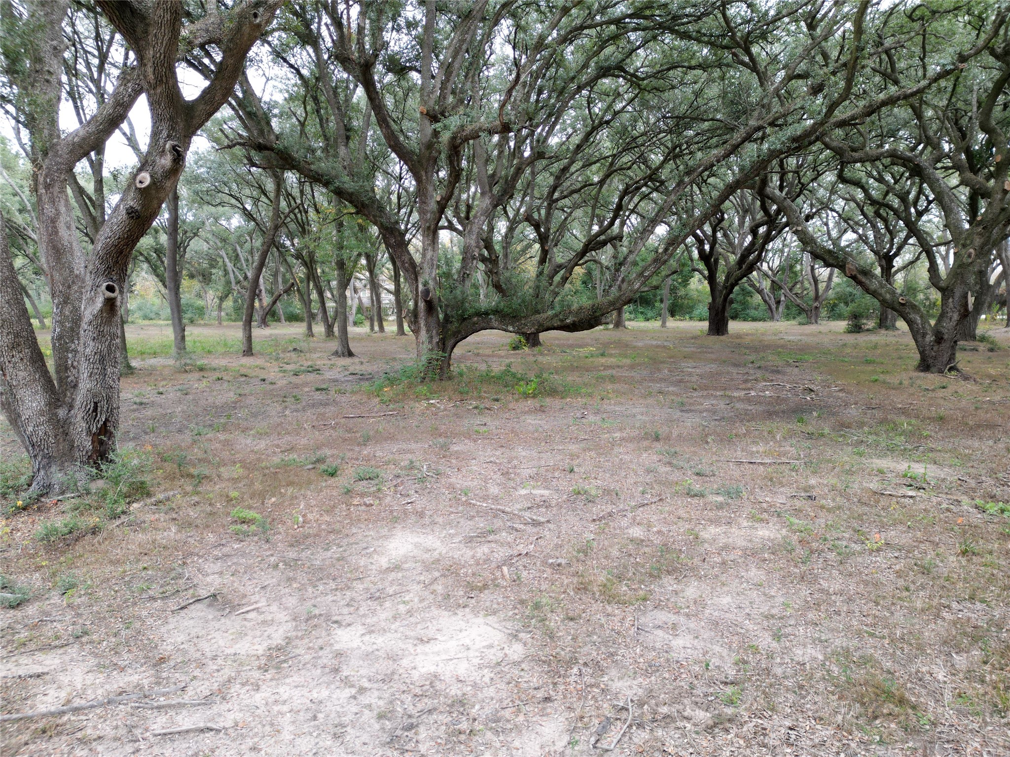 0 Runneburg Road Crosby, TX 77532 - Photo 27 of 39 a view of outdoor space with trees
