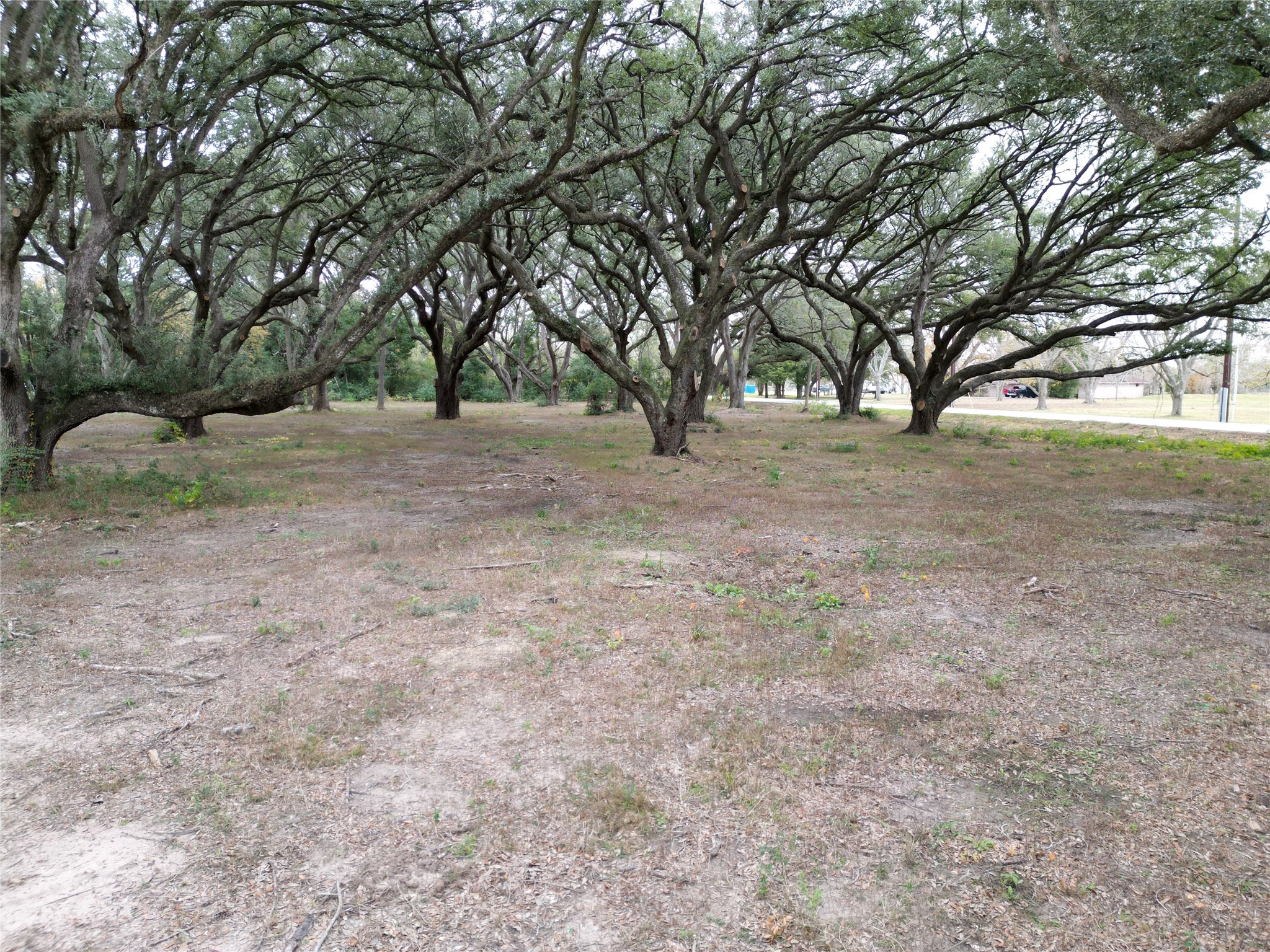 0 Runneburg Road Crosby, TX 77532 - Photo 28 of 39 a view of outdoor space and trees