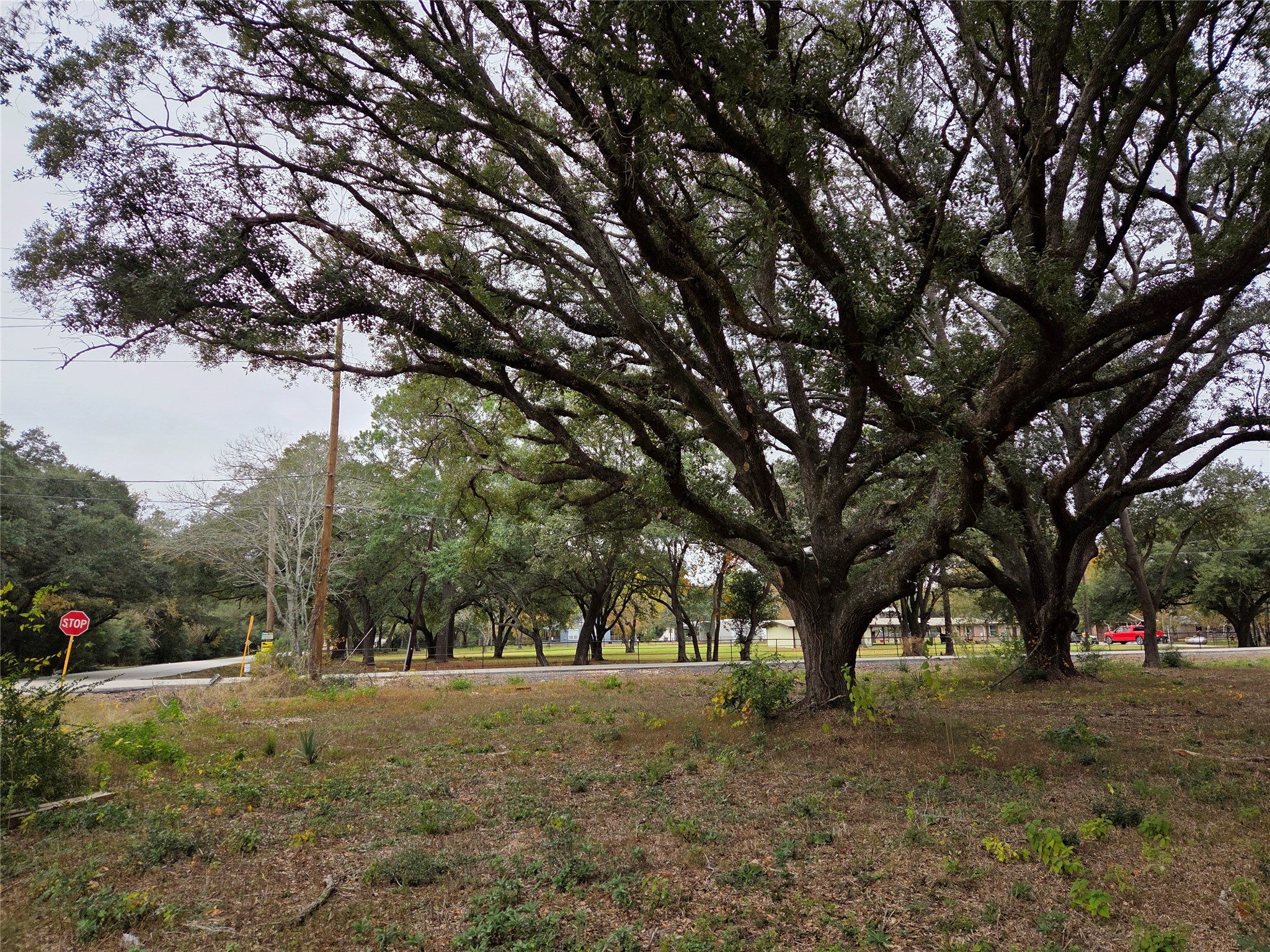 0 Runneburg Road Crosby, TX 77532 - Photo 6 of 39 a view of outdoor space with trees