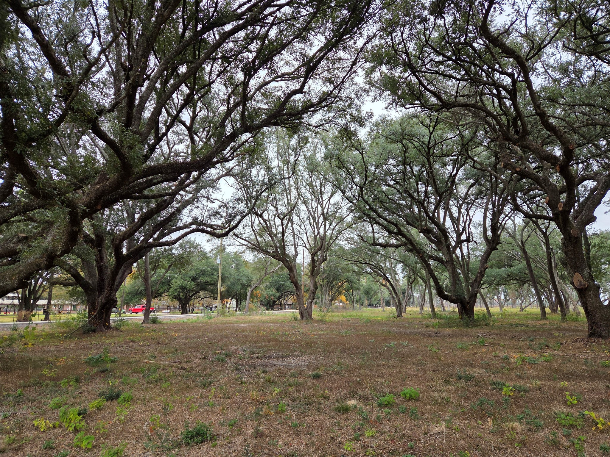 0 Runneburg Road Crosby, TX 77532 - Photo 9 of 39 a view of outdoor space and trees