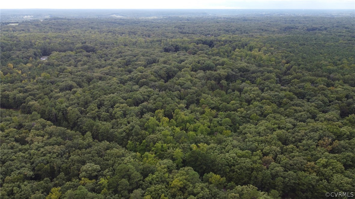 700 Hockett Road Manakin-Sabot, VA 23103 - Photo 5 of 11 Eastern corner, looking west