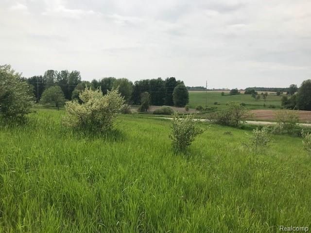 Vac Vac Meridian & Balcom Road Laingsburg, MI 48848 - Photo 2 of 20