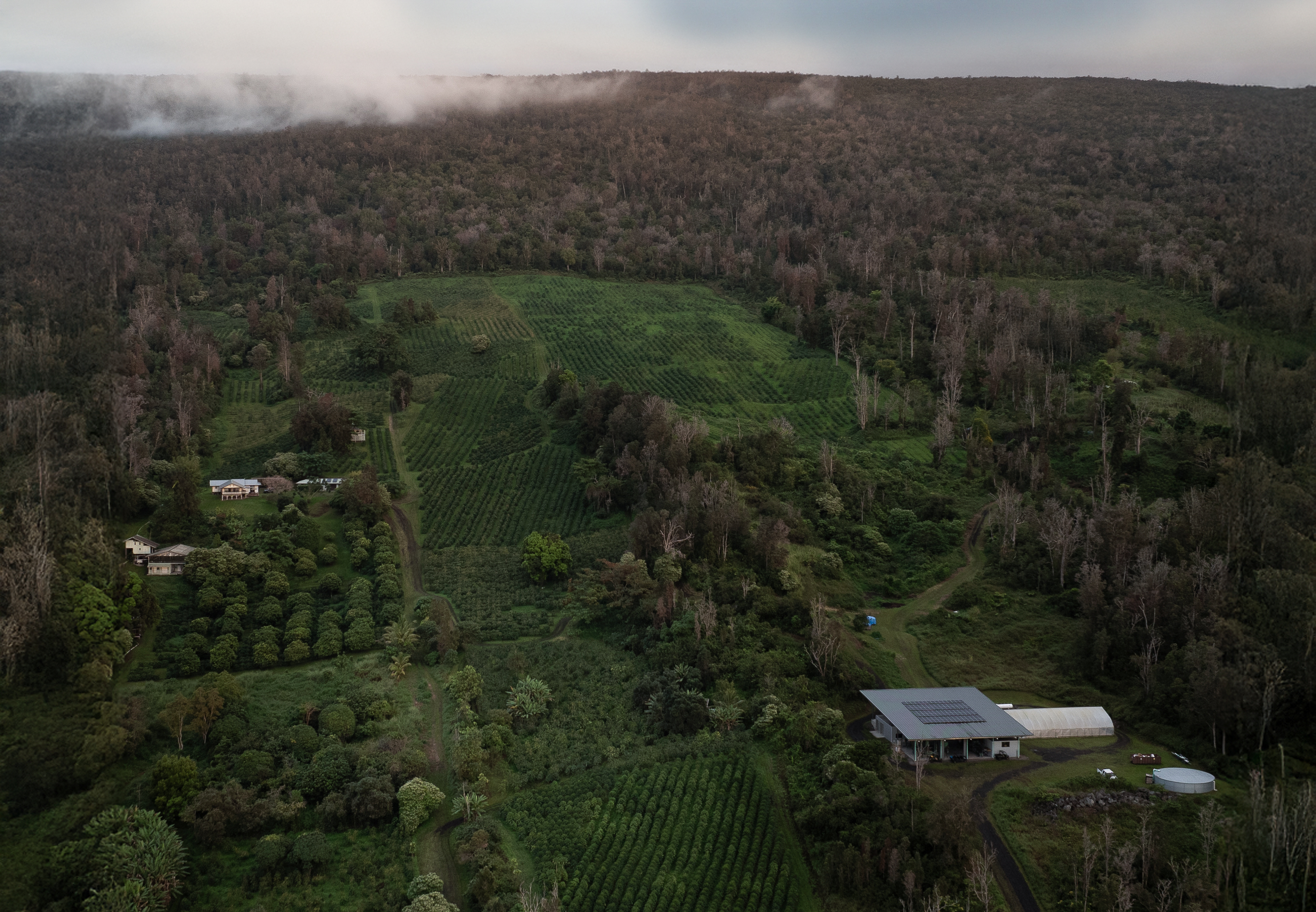 87-2854 Hawaii Belt Road Captain Cook, HI 96704 - Photo 5 of 30 a view of a city with lush green forest