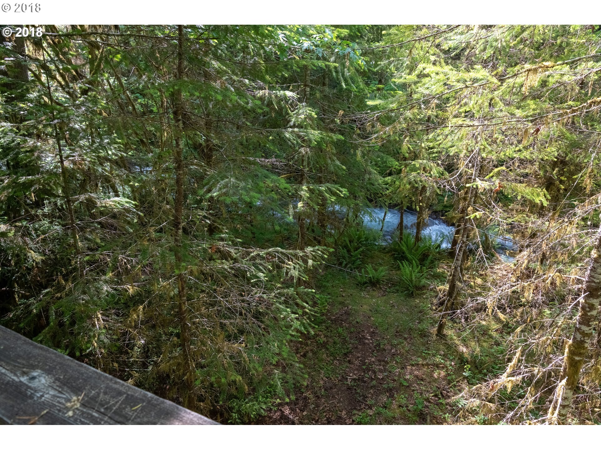 74856 Road 26, Unit 44 Rhododendron, OR 97049 - Photo 4 of 28 a view of a forest with a street