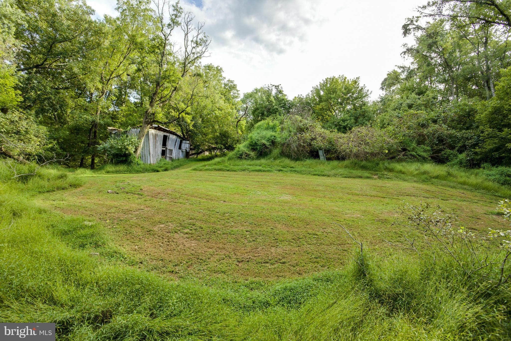1730 Carrs Mill Road Fallston, MD 21047 - Photo 5 of 29 a view of a big yard with plants and large trees