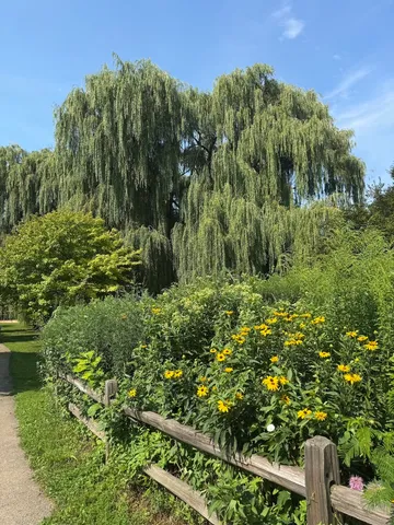 $575,000 | 2150 West Foster Avenue, Unit 2, Chicago, IL 60625