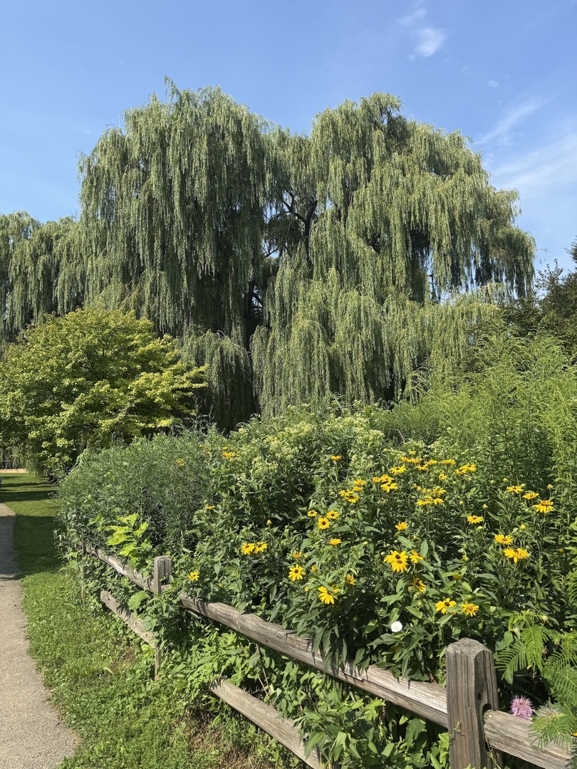 2150 West Foster Avenue, Unit 2 Chicago, IL 60625 - Photo 36 of 38