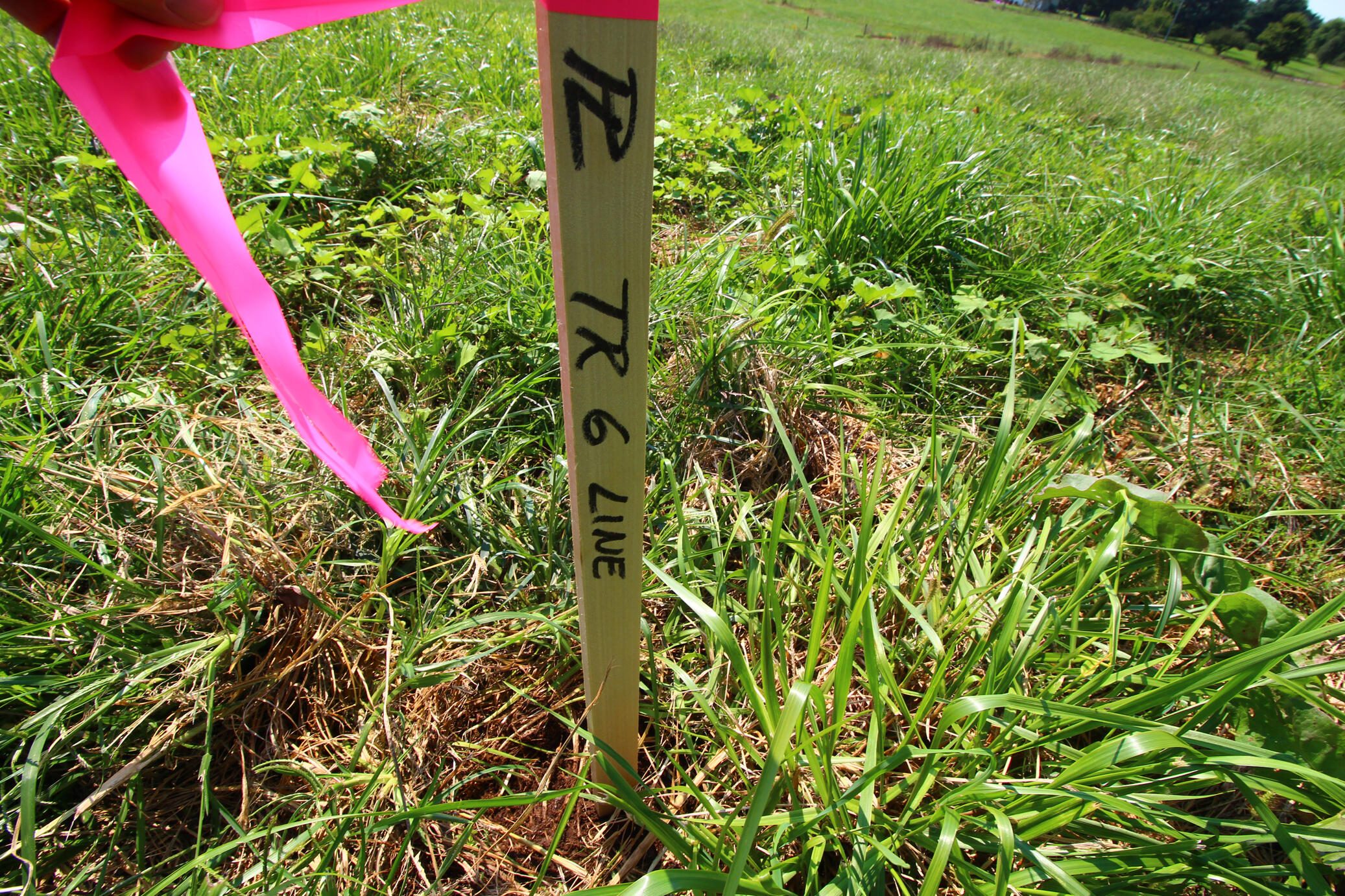 70 Flood Road Shelbyville, KY 40065 - Photo 2 of 4 View