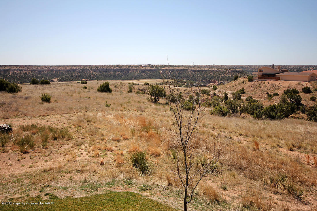 7600 Canyon Bend Road Amarillo, TX 79118 - Photo 60 of 67 Backyard View