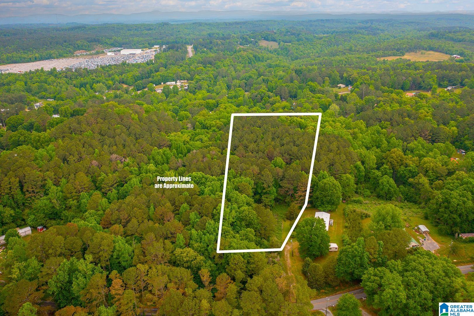 0 Spunky Hollow Road, Unit 1 Trafford, AL 35172 - Photo 6 of 18