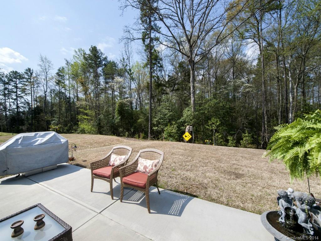 826 Solandra Way Tega Cay, SC 29708 - Photo 18 of 21 a view of outdoor sitting area with trees