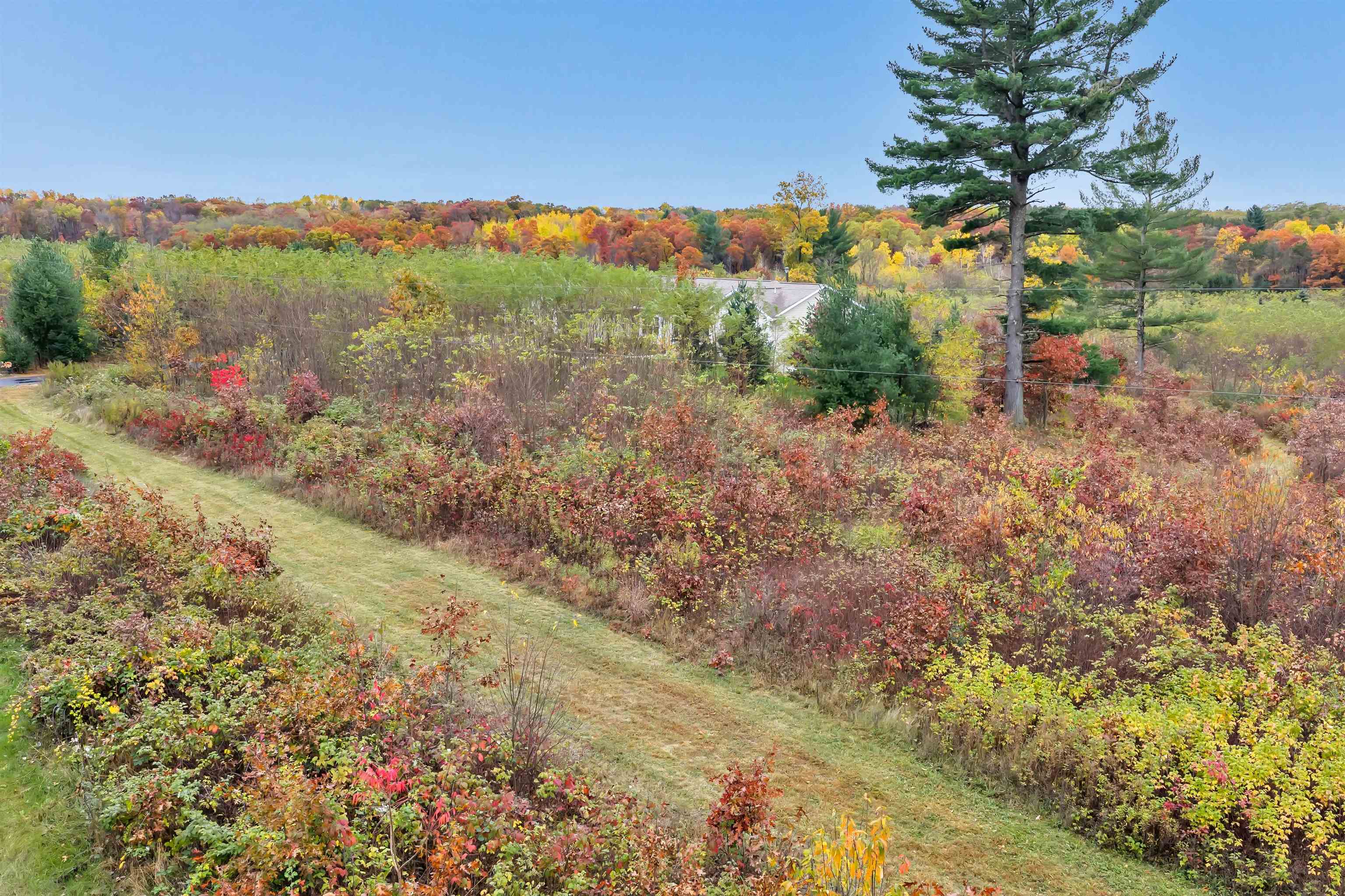 4006 Elkins Road Amherst, WI 54406 - Photo 53 of 69