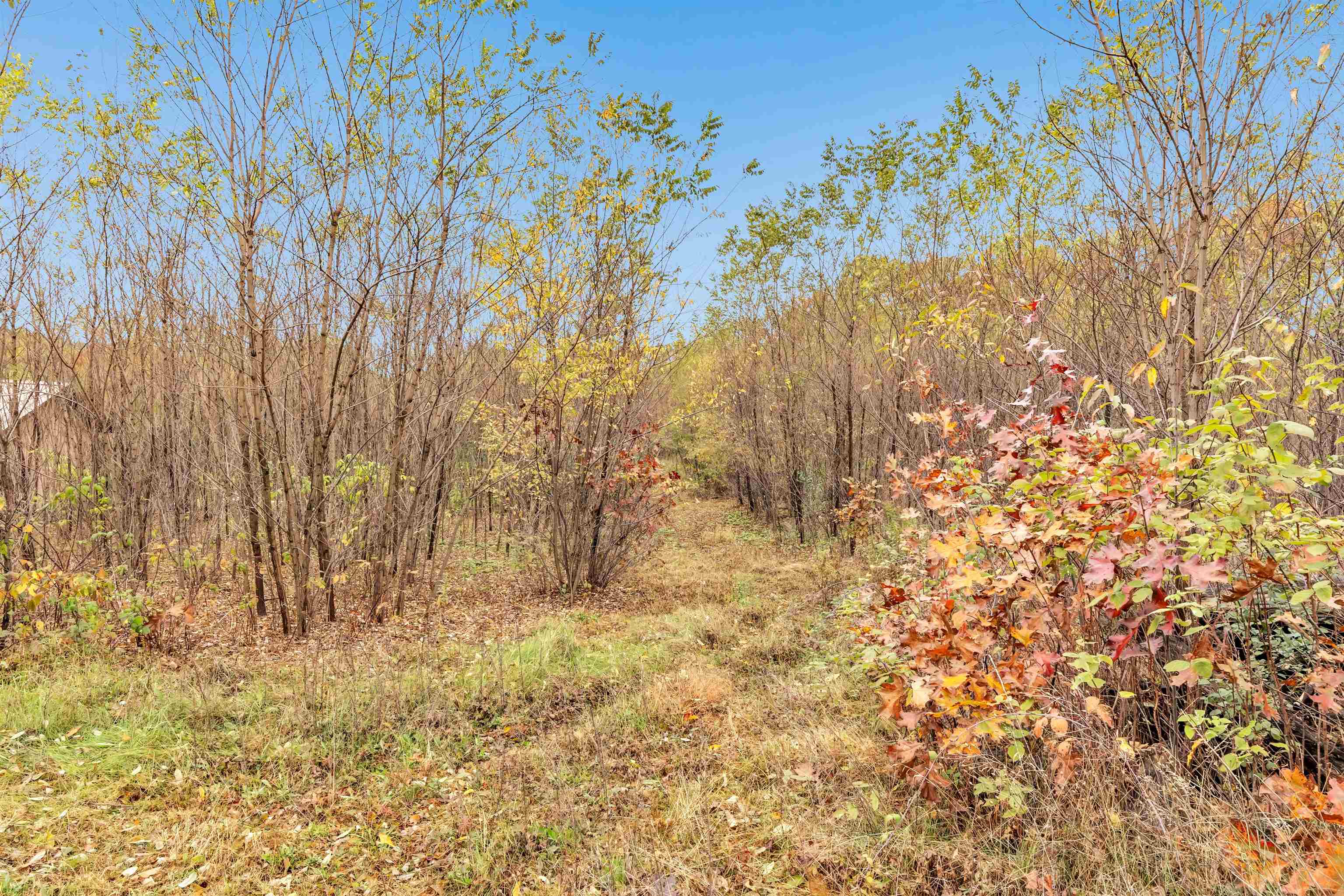 4006 Elkins Road Amherst, WI 54406 - Photo 58 of 69