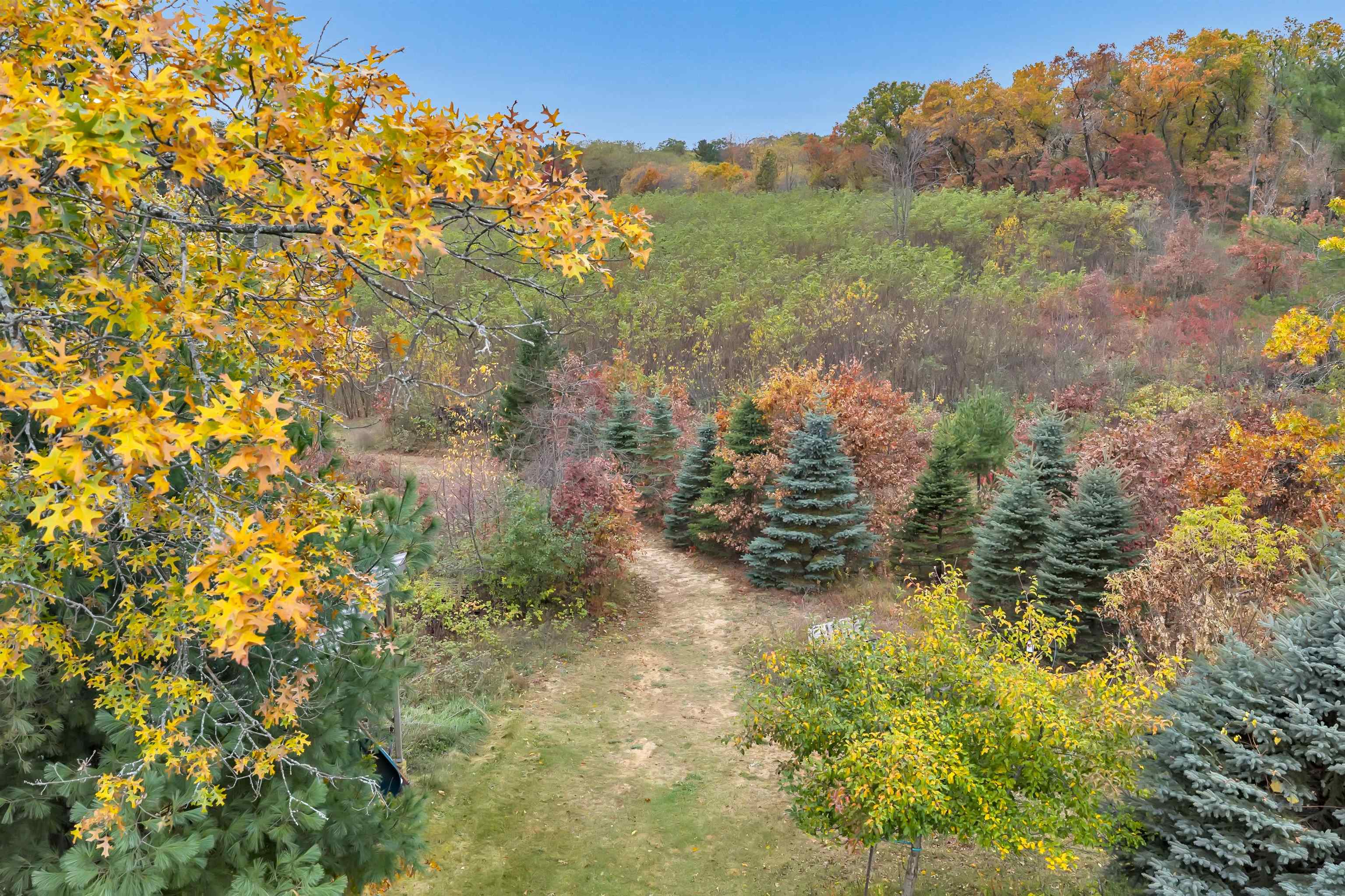 4006 Elkins Road Amherst, WI 54406 - Photo 8 of 69