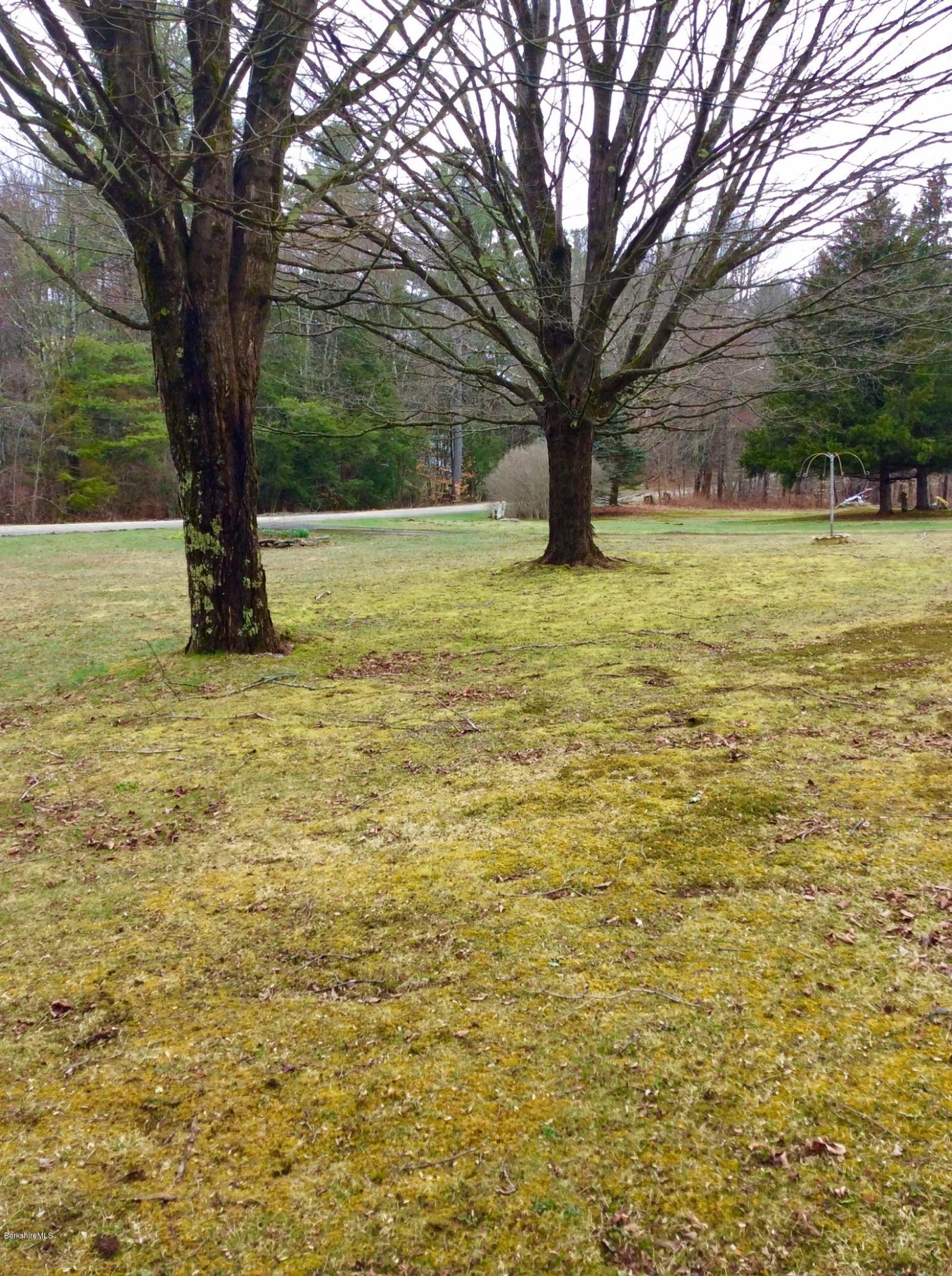 134 Bancroft Road Becket, MA 01223 - Photo 8 of 17 a view of outdoor space with garden