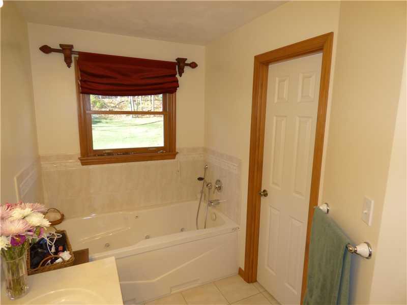 116 Rustic Ridge Drive Plum, PA 15239 - Photo 14 of 25 Master Bath/Spa.