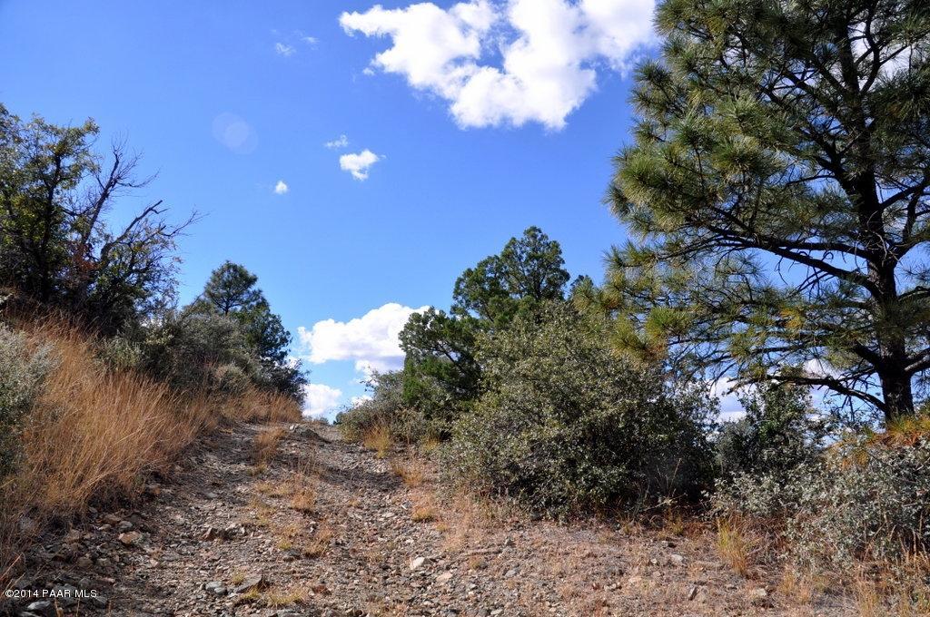 0 Old Senator Road Prescott, AZ 86303 - Photo 5 of 16 DSC_0558