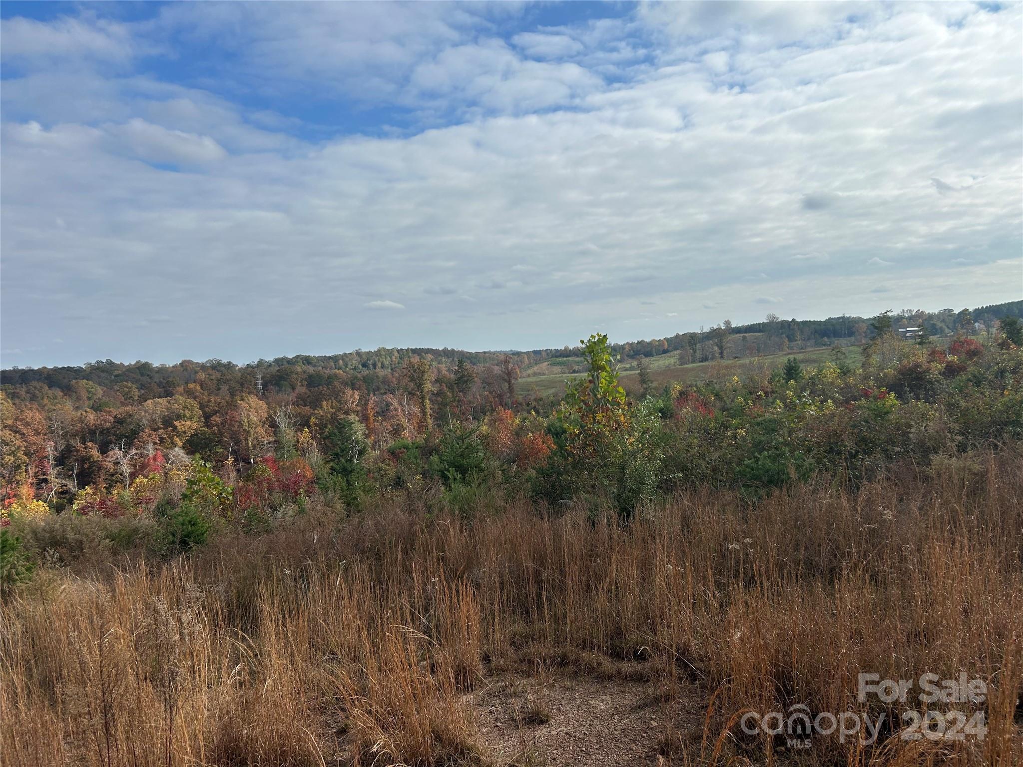 0 Cliffside Road Mooresboro, NC 28114 - Photo 3 of 3 Gallery Image 3