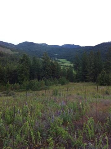 3086 Addy-Gifford Road Gifford, WA 99131 - Photo 12 of 13