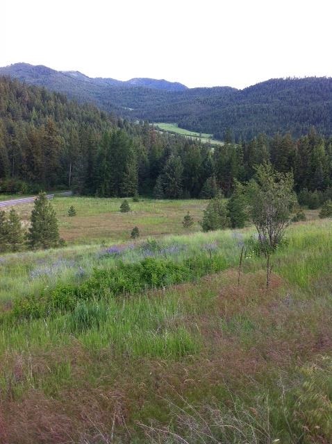 3086 Addy-Gifford Road Gifford, WA 99131 - Photo 3 of 13