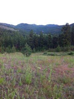 3086 Addy-Gifford Road Gifford, WA 99131 - Photo 8 of 13