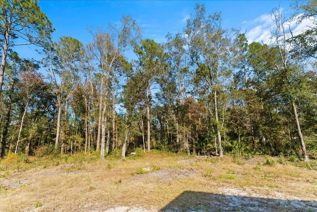 a view of a yard with trees
