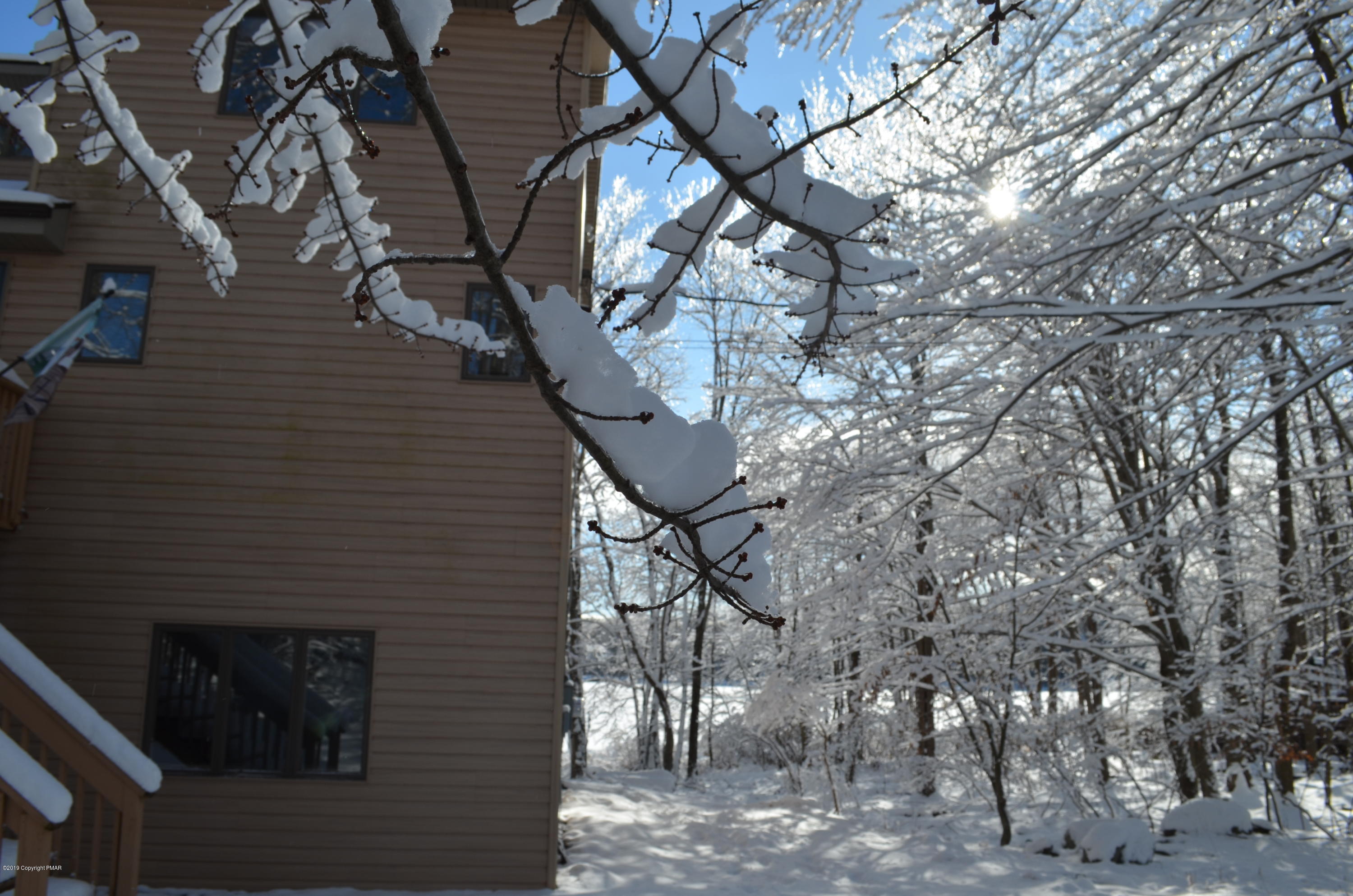 9 Birch Point Road Gouldsboro, PA 18424 - Photo 5 of 41 a picture of trees