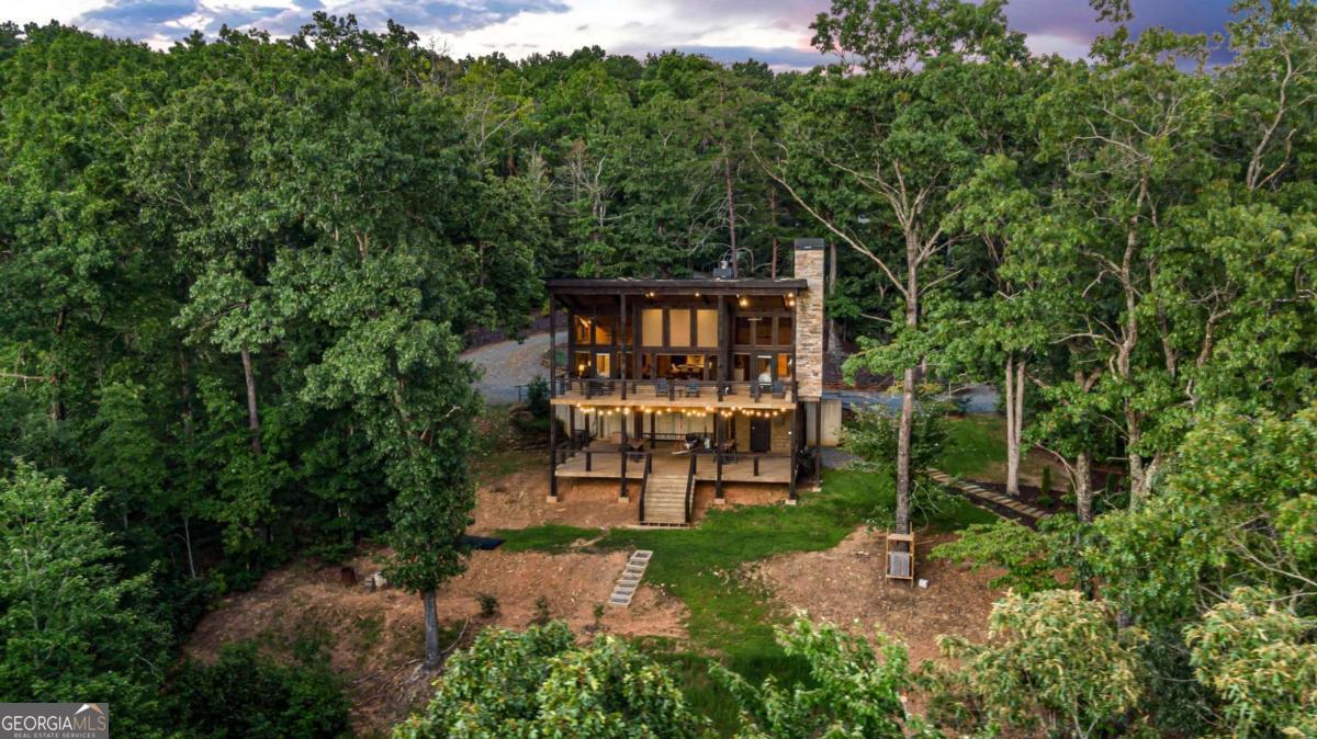 361 June Bug Lane Blue Ridge, GA 30513 - Photo 56 of 65