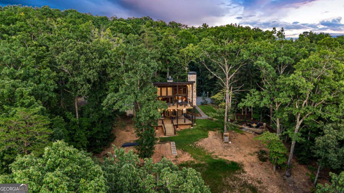 361 June Bug Lane Blue Ridge, GA 30513 - Photo 57 of 65